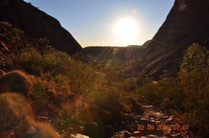 1olgas_005_