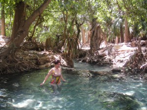3_Mataranka_Thermal_Pool