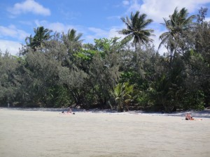 4milebeach_DSC00732