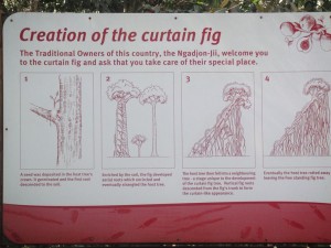 6curtainfigthree