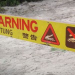 Rainforst_DSC00673