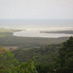 Rainforst_DSC00674