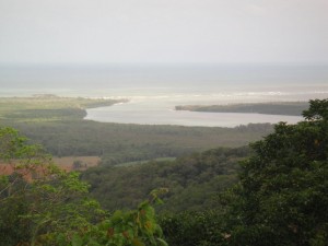 Rainforst_DSC00674