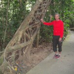 Rainforst_DSC00682