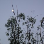 1_Jairu_Moon