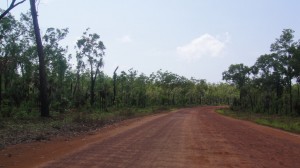 2_Litchfield