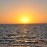 2_Niraloo