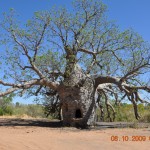 2_kununurra