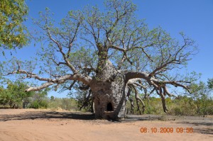 2_kununurra
