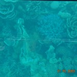 3_glass_bottom
