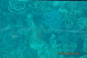 3_glass_bottom