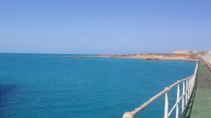 4_broome