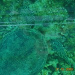 4_glass_bottom