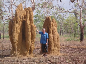5_Spinifextermite_