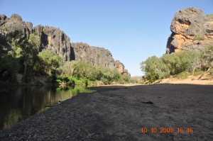 7_wilder_westen