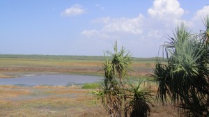 8_Billabong