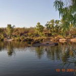 8_camping_Manning_Gorge