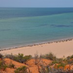 Flora_Fauna_047_