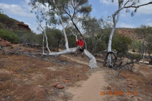 Kalbarri_theLoop_079_