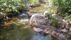 Litchfield_005_