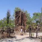 Litchfield_008_