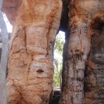 Lost_City_004_