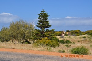 coast_road_086_