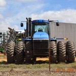perth11