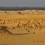 pinnacles_097_