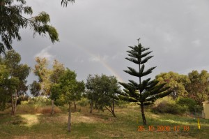 rainy_day_8_