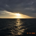 shark_bay_026_