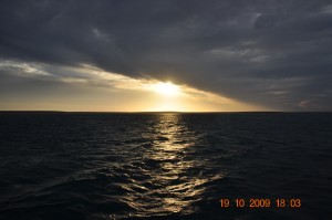 shark_bay_026_