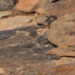 wave_rock7