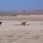weites_land_004_