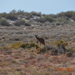 weites_land_007_