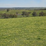 1510_02_Spring time