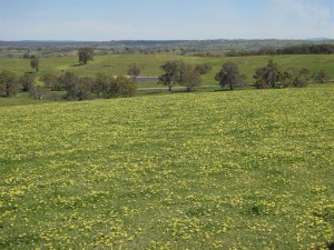 1510_02_Spring time