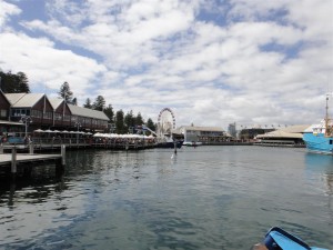 DSC01987 (Large)